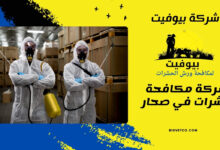 شركة مكافحة حشرات في صحار