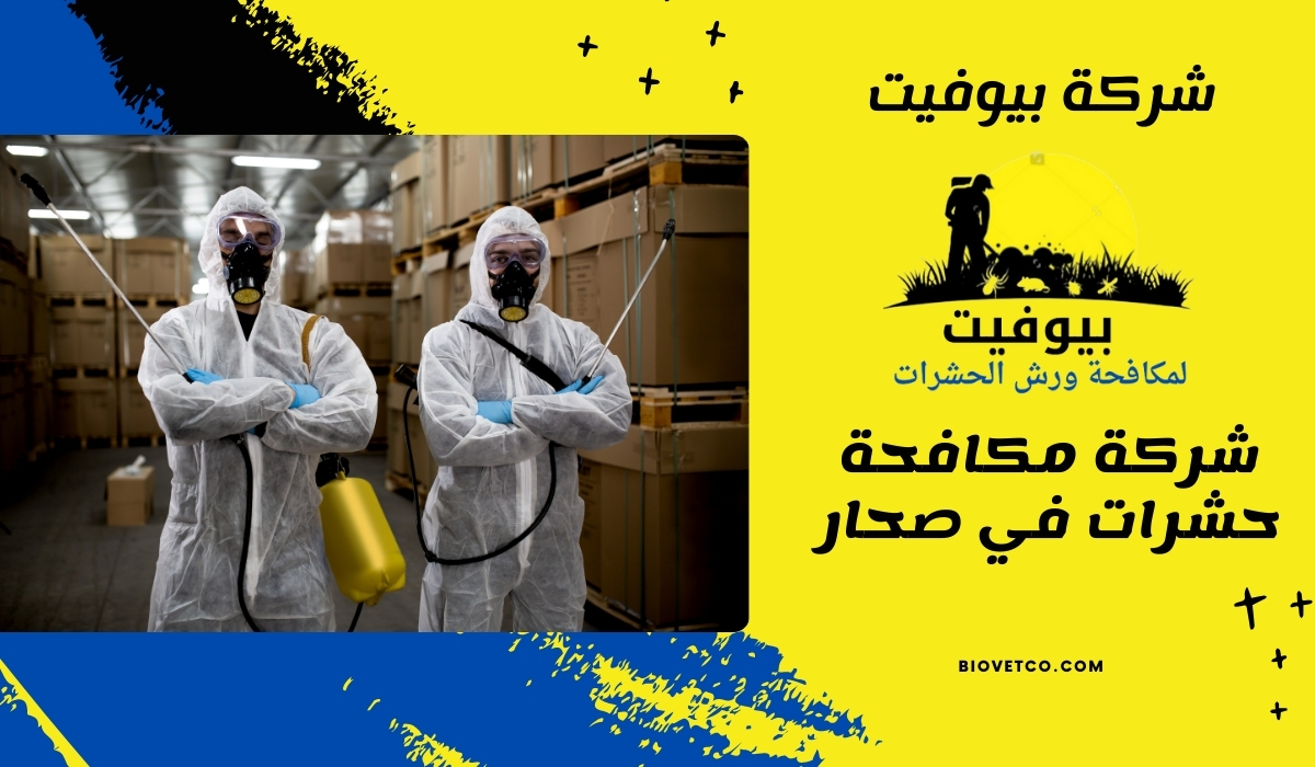 شركة مكافحة حشرات في صحار