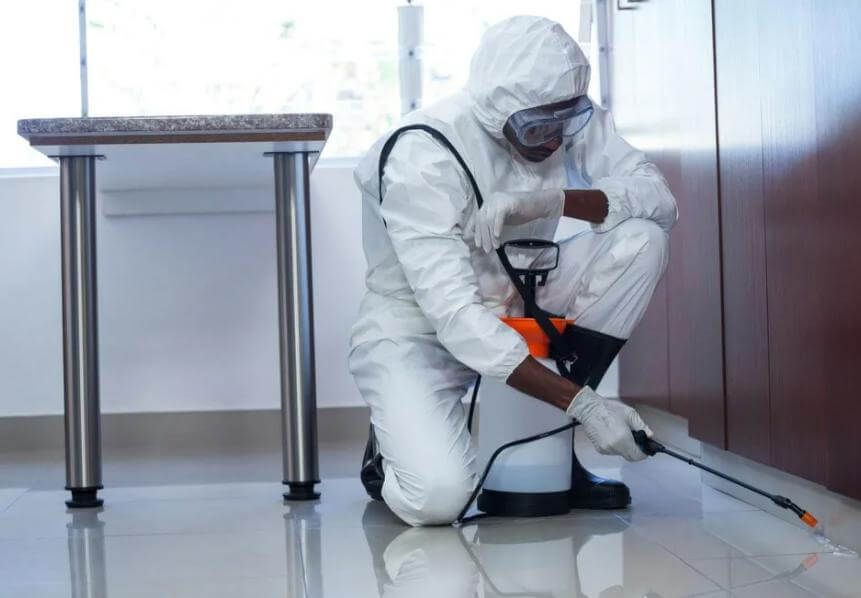 مكافحة الحشرات في الاردن