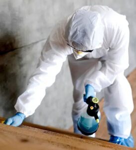 أفضل شركات مكافحة الحشرات في الباجور