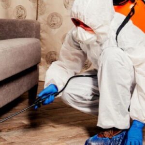 ابادة الحشرات المنزلية فى اشمون