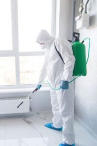 افضل شركة مكافحة حشرات في الباجور