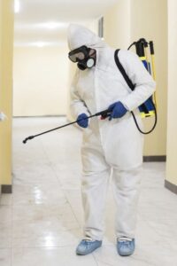 الشركة الألمانية لمكافحة الحشرات في الباجور