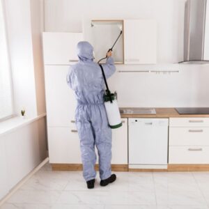 الشركة الألمانية لمكافحة الحشرات في بركة السبع