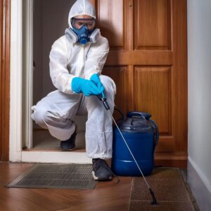 شركة رش حشرات