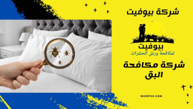 شركة مكافحة البق