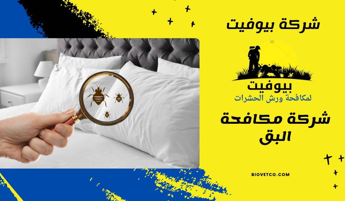 شركة مكافحة البق 01033160250
