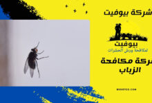 شركة مكافحة الزباب 