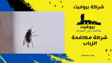شركة مكافحة الزباب 