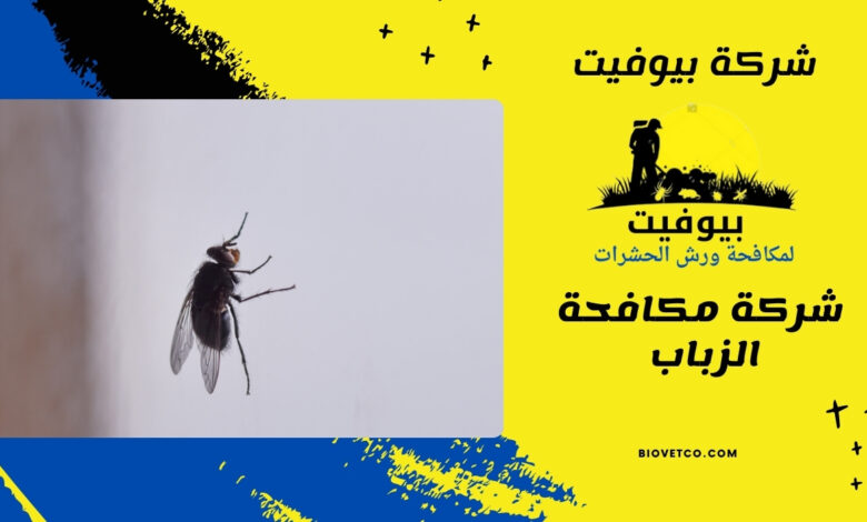 شركة مكافحة الزباب