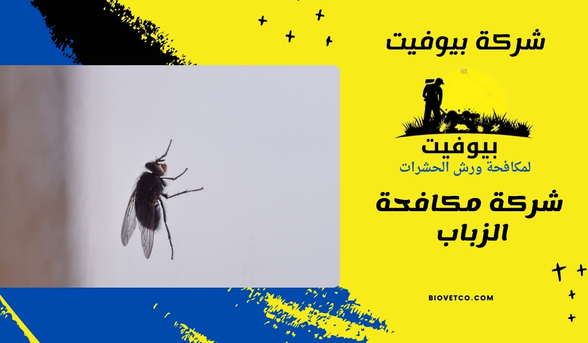 شركة مكافحة الزباب