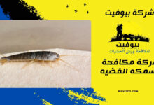 شركة مكافحة السمكه الفضيه