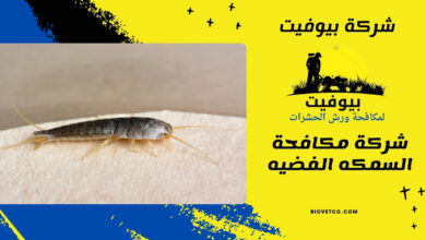 شركة مكافحة السمكه الفضيه