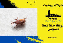 شركة مكافحة السوس (1)
