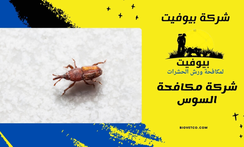 شركة مكافحة السوس (1)