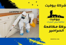 شركة مكافحة الصراصير