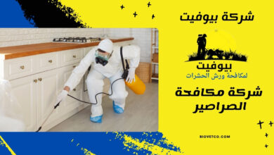 شركة مكافحة الصراصير