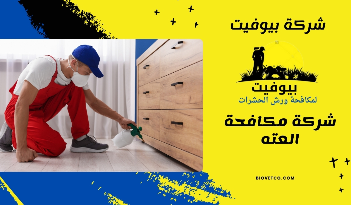 شركة مكافحة العته 01033160250