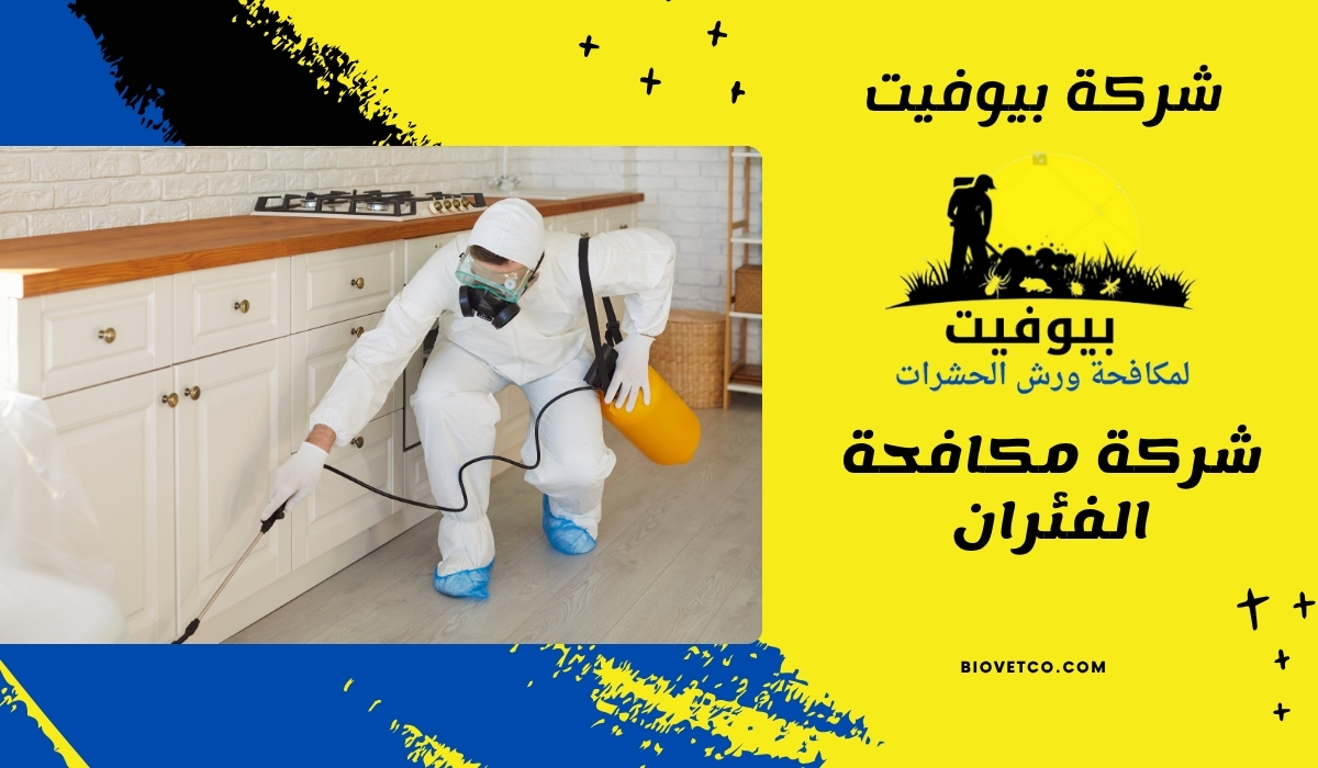 شركة مكافحة الفئران 01033160250