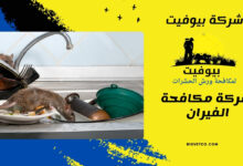 شركة مكافحة الفيران