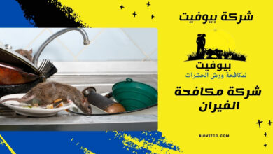 شركة مكافحة الفيران