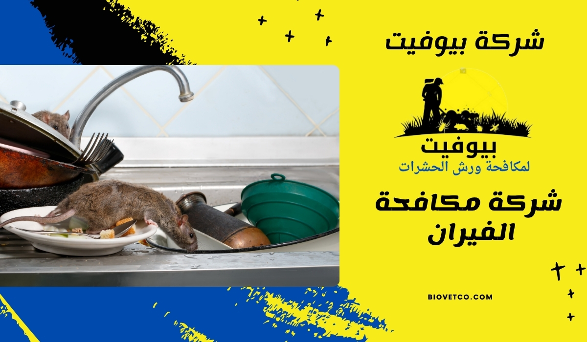 شركة مكافحة الفيران 01033160250