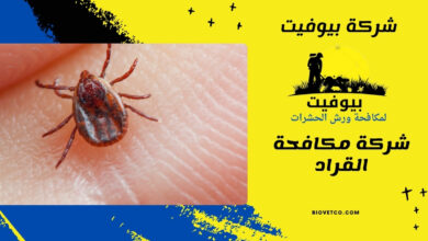 شركة مكافحة القراد