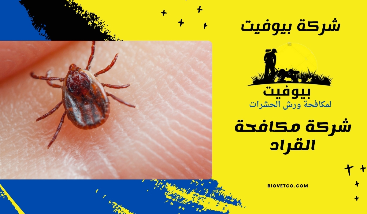 شركة مكافحة القراد 01033160250