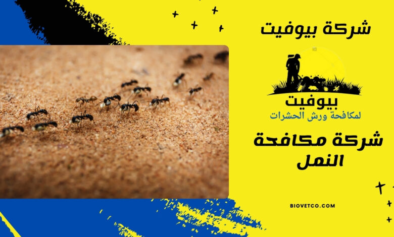 شركة مكافحة النمل