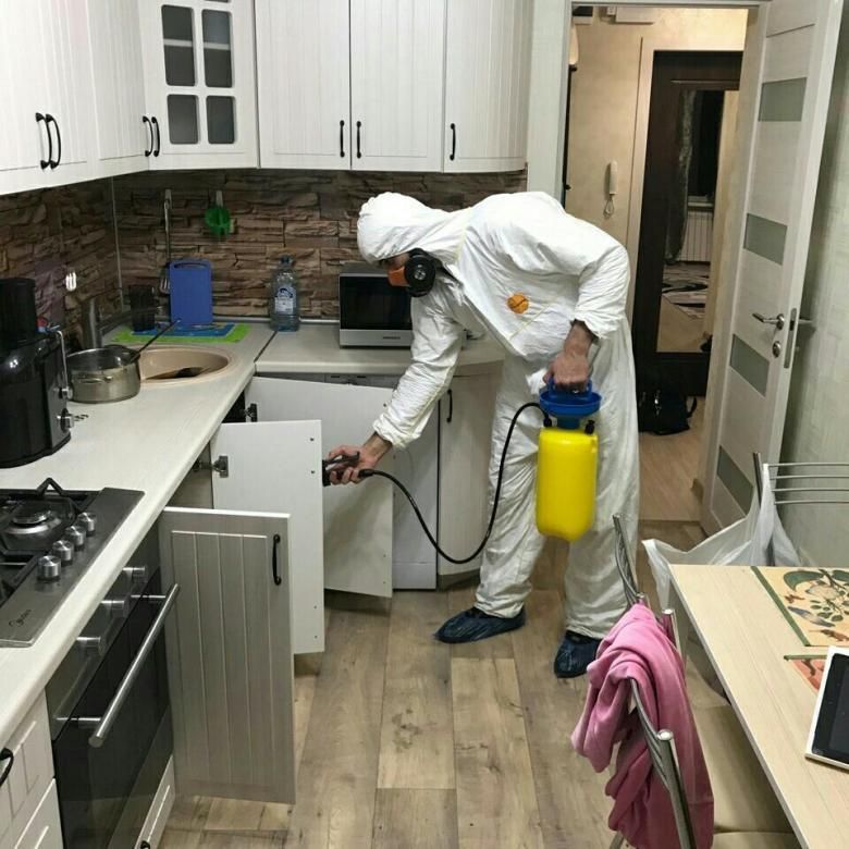 طريقة القضاء على البق