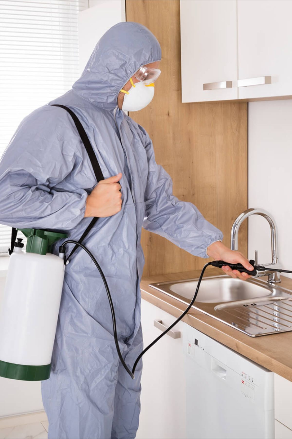 أفضل شركات مكافحة الحشرات في التجمع الأول