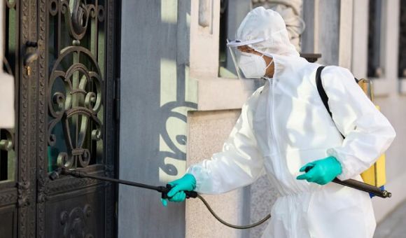 أفضل شركات مكافحة الحشرات في التجمع الخامس