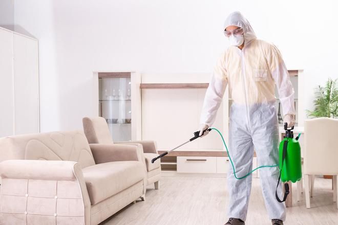 أفضل شركات مكافحة الحشرات في القطاميه هايتس 