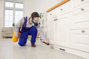 أفضل شركات مكافحة الحشرات في منوف