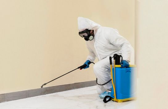 ابادة الحشرات المنزلية في عتاقة