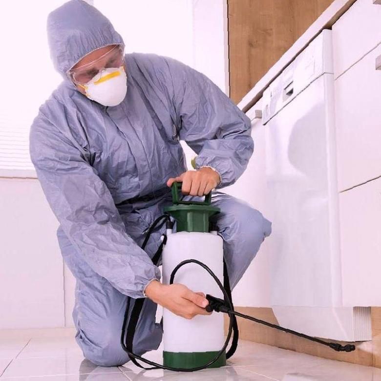 اتصل الآن بأفضل شركة مكافحة حشرات بالرياض واحصل على خدمة فورية