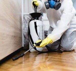 افضل شركة مكافحة حشرات في الشهداء