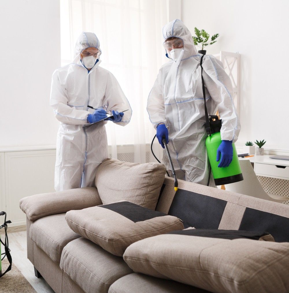 الشركة الألمانية لمكافحة الحشرات التل الكبير