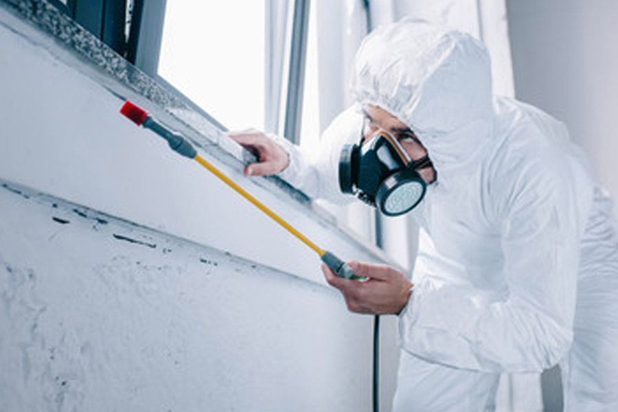 الشركة الألمانية لمكافحة الحشرات في التجمع الأول