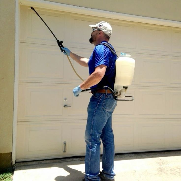 الشركة الألمانية لمكافحة الحشرات في الجناين