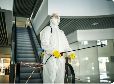 الشركة الألمانية لمكافحة الحشرات في الشيخ زايد