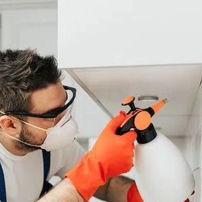 الشركة الالمانية للحشرات في قويسنا