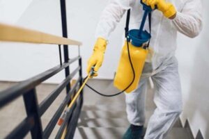 رش مبيدات حشرية في سرس الليان