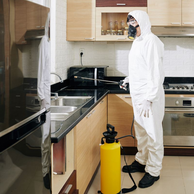 شركات رش المنازل في التجمع الخامس