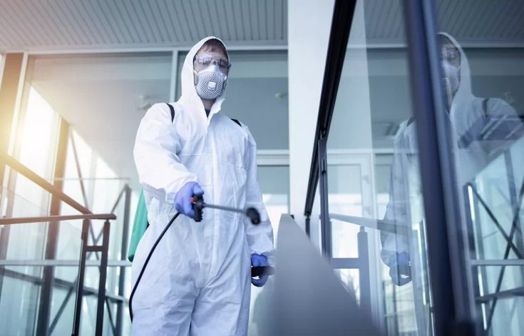 شركات مكافحة الحشرات في التجمع الخامس