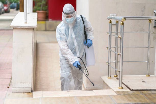 شركة مبيد حشرات في اكتوبر