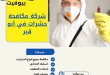 شركة مكافحة حشرات في أبو قير