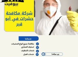 شركة مكافحة حشرات في أبو قير