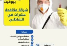 شركة مكافحة حشرات في الشاطبي