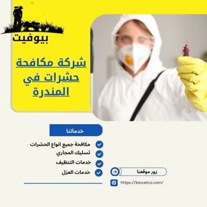 شركة مكافحة حشرات في المندرة